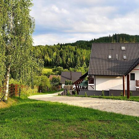 Pensiunea Doina Bucovinei Manastirea Humorului Exterior photo