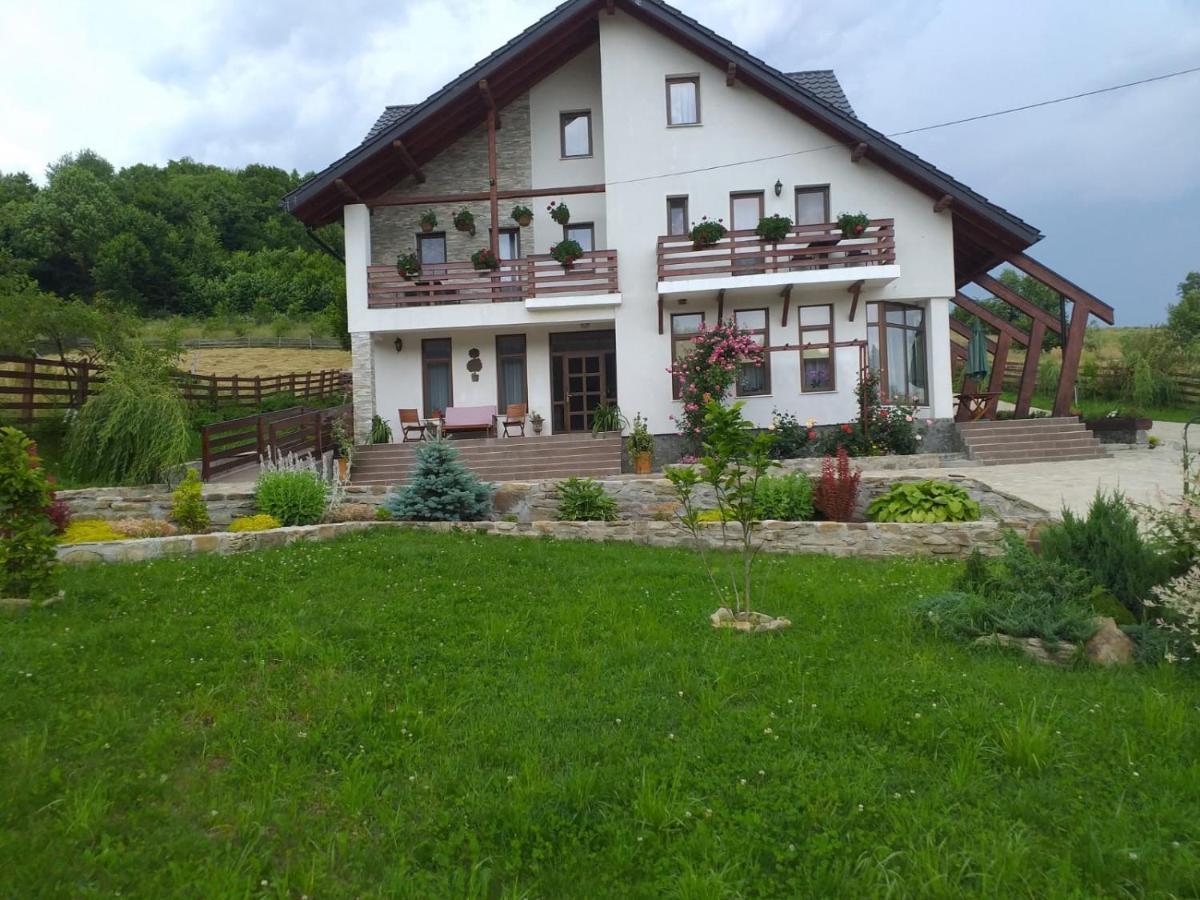 Pensiunea Doina Bucovinei Manastirea Humorului Exterior photo