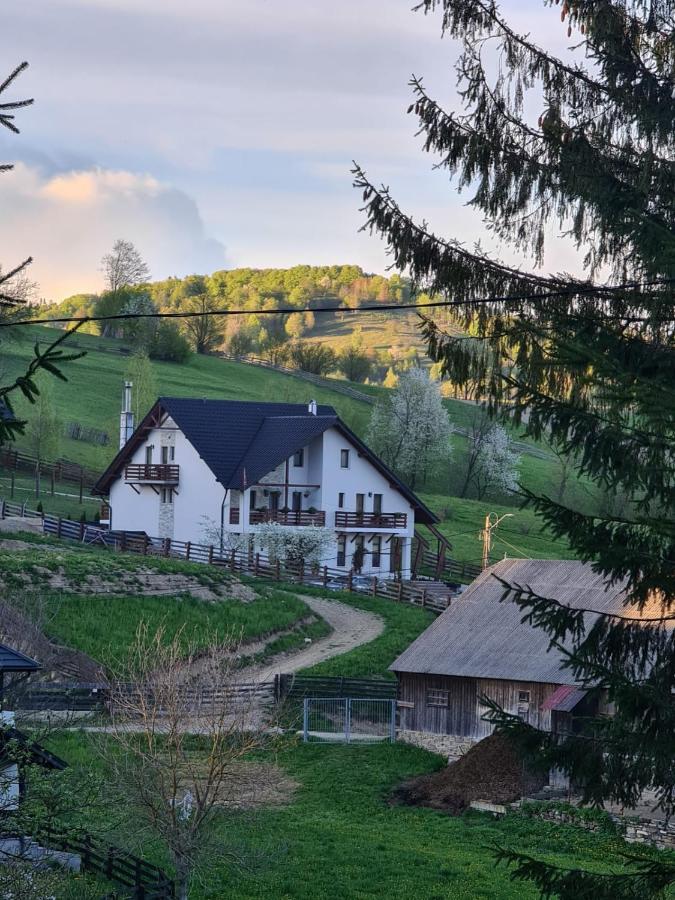 Pensiunea Doina Bucovinei Manastirea Humorului Exterior photo