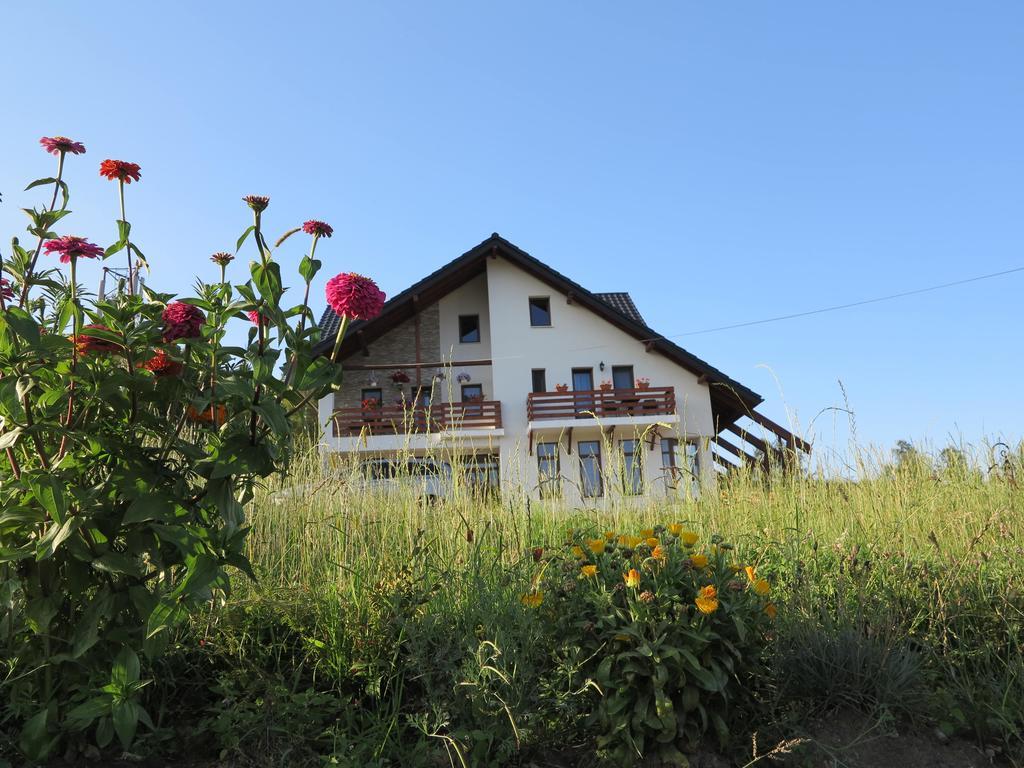 Pensiunea Doina Bucovinei Manastirea Humorului Exterior photo