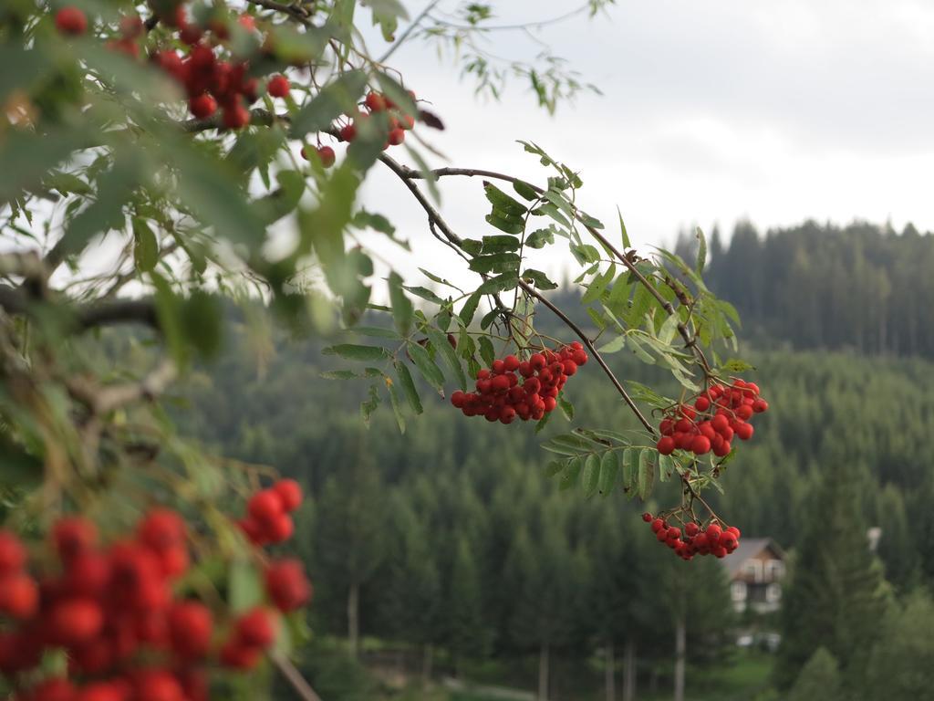 Pensiunea Doina Bucovinei Manastirea Humorului Exterior photo