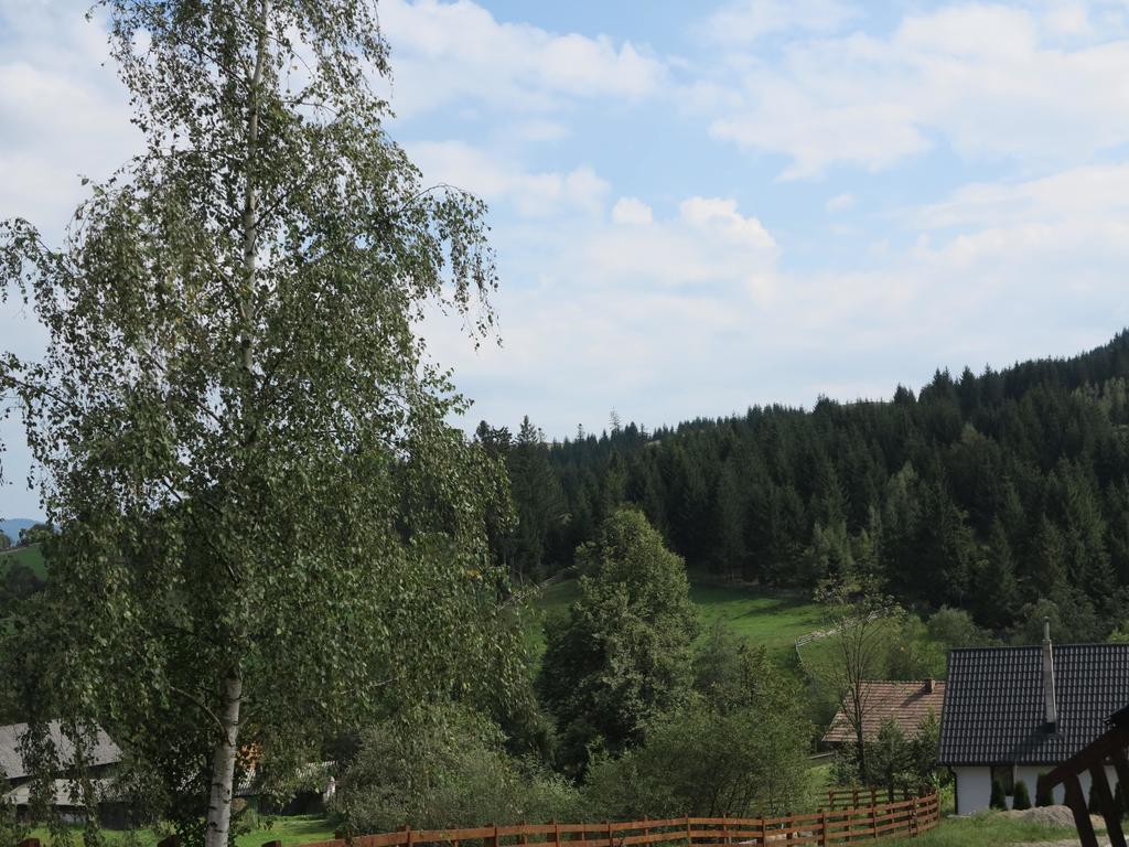 Pensiunea Doina Bucovinei Manastirea Humorului Exterior photo